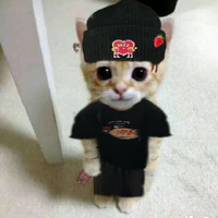 tác giả 