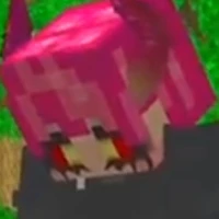 Hiha ???