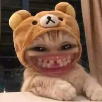 T/g