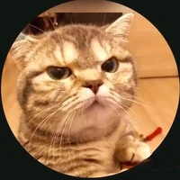 Nhi