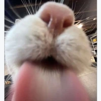 Thư