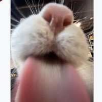？？？