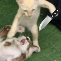 tác giả nạnh nùng