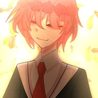 TT hiha