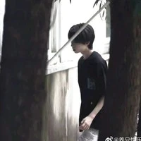 Dương Bác Văn