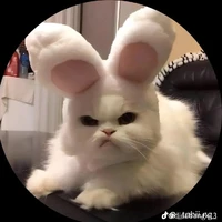 T/G bị lùn