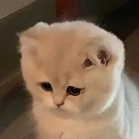 Vi
