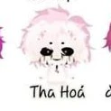 hiha tha hóa