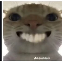 Ông bô của lá