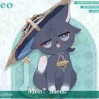 Wander ( mèo )