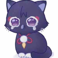 Kuni ( mèo )