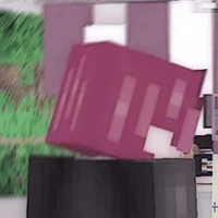 h1h4