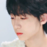 Dương Bác Văn_wen