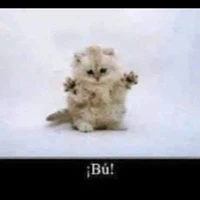 Kay