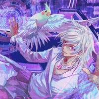 Hiha Hologram