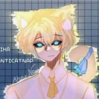 Hiha Anti Catnap