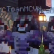 Toàn(mèo)