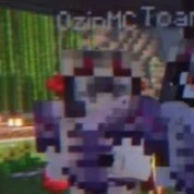 Ozin(mèo)