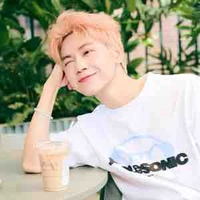 Nguyễn Thái Sơn-jsol