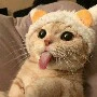 Hệ thống A Đường