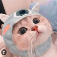 Cà Lem 🐱