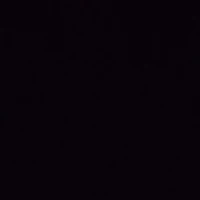 Nhân viên chi nhánh