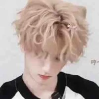 Nghiêm Hạo Tường