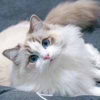 t/g bị umee hiha😼