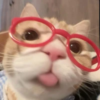 Ebemaingo✨💗🎀