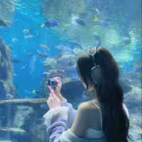 Linh Dương 