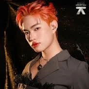 Nguyễn Thanh Pháp