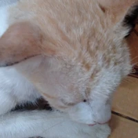 nhỏ tác giả máy giặt nằm ngang :)))