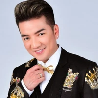 đàm vĩnh hưng (hắn)