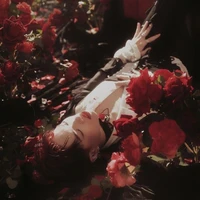 Nguyễn Thanh Pháp (Pháp Kiều)