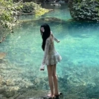 Nguyễn Trần Lan Anh