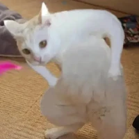 Hệ thống xamloz 😊😊