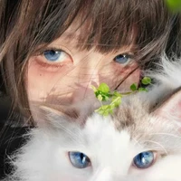 Hệ thống | Selina