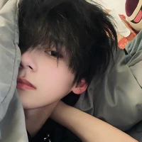 Tô Hoài Anh