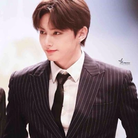 Wen Junhui (Jun)