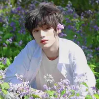 Đinh Trình Hâm