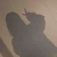 Tác giả [hệ thống 001]