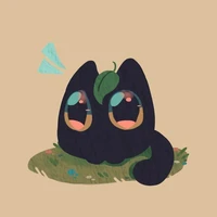 Moe Moe (cat)