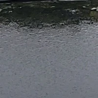 MN(mọi người cả t/g)