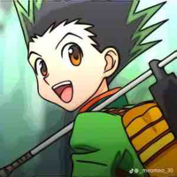 Gon Freecss 
