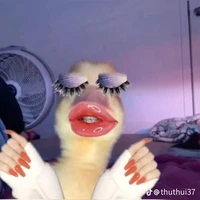 t/g báo