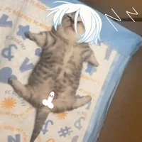 (shine)hệ thống thù kem