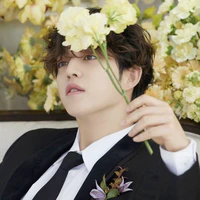 Choi Seungcheol - Scoups