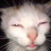 All( trừ ai thì trừ)