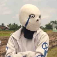 Alpha sans