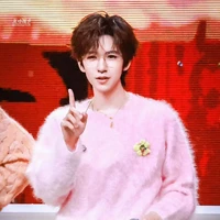 Hạ Tuấn Lâm